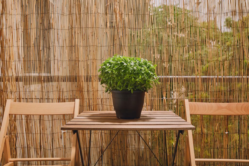 Modern And Cozy Apartment In The Centre Of Aten Exteriör bild